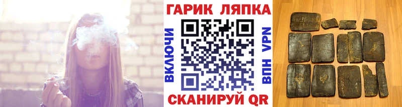 магазин продажи наркотиков  дарк нет как зайти  Гашиш индика сатива  Чегем 