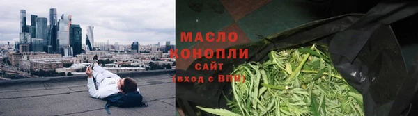 мдпв Михайлов