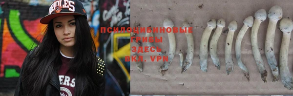 mdma Билибино