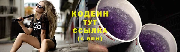 мдпв Михайлов