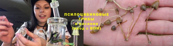 прущий лед Михайловка