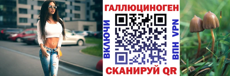 Псилоцибиновые грибы Cubensis  купить   Чегем 